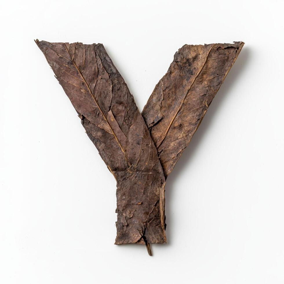 Rustic wooden letter Y photo