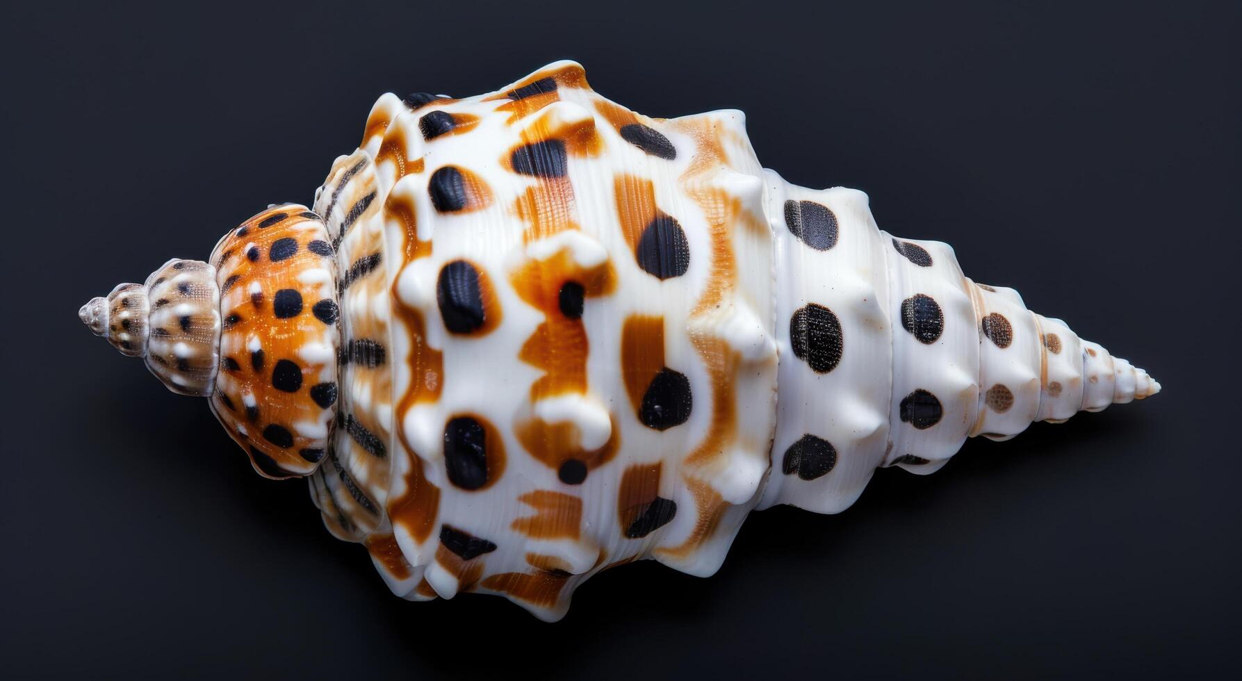 Intricate seashell pattern with vibrant colors photo