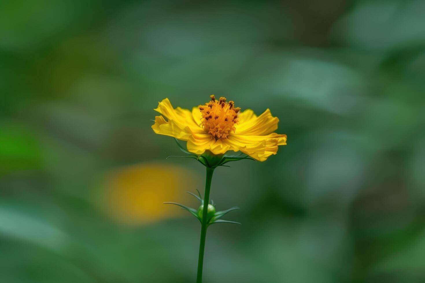 Vibrant yellow flower in nature photo