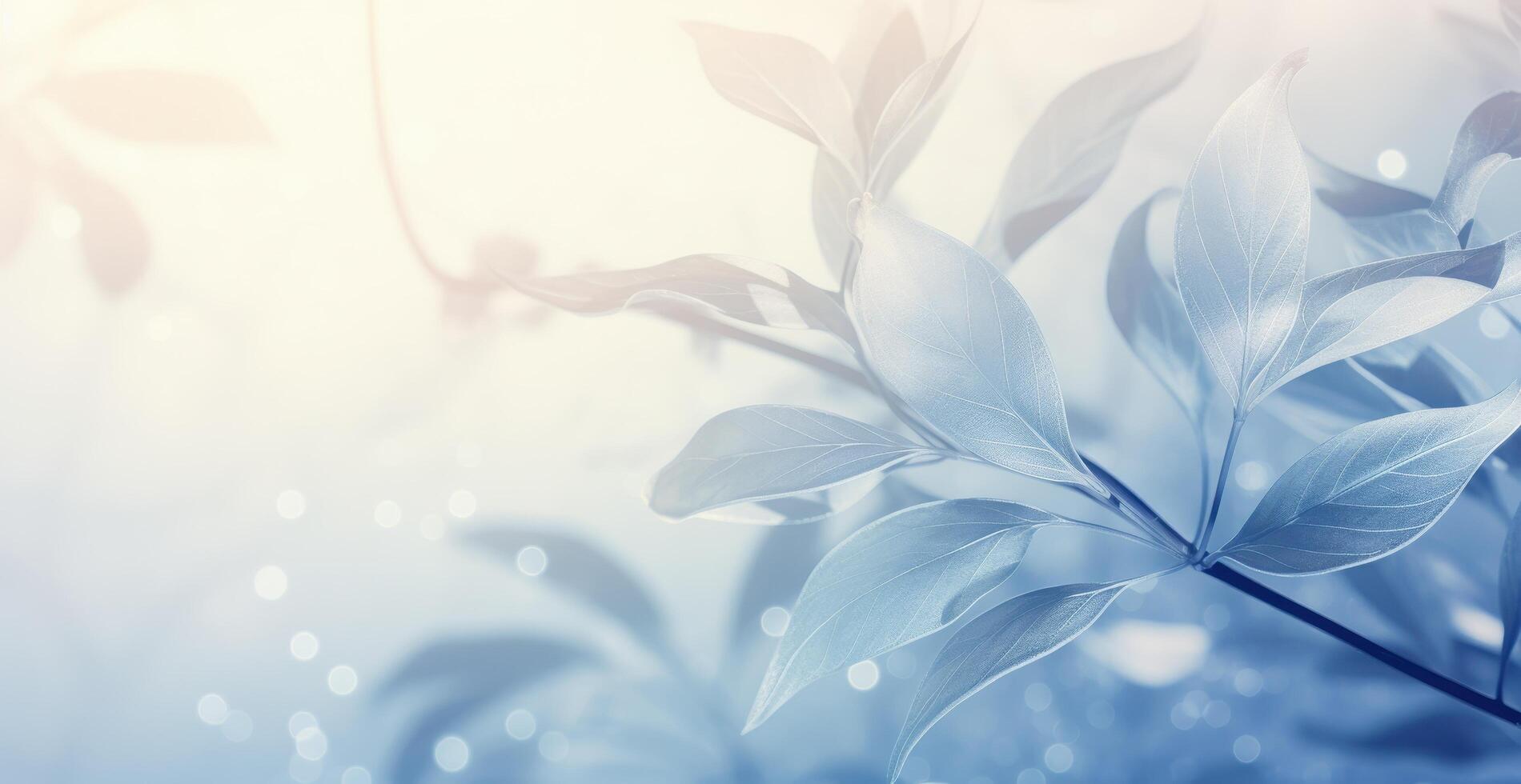Ethereal blue leaves in soft focus photo