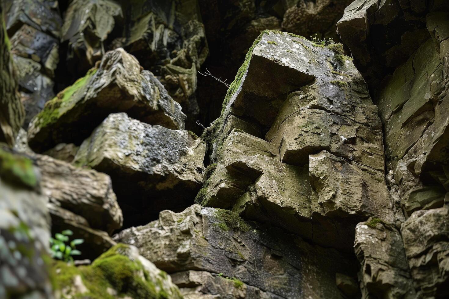 Mossy rocks in a dark forest photo