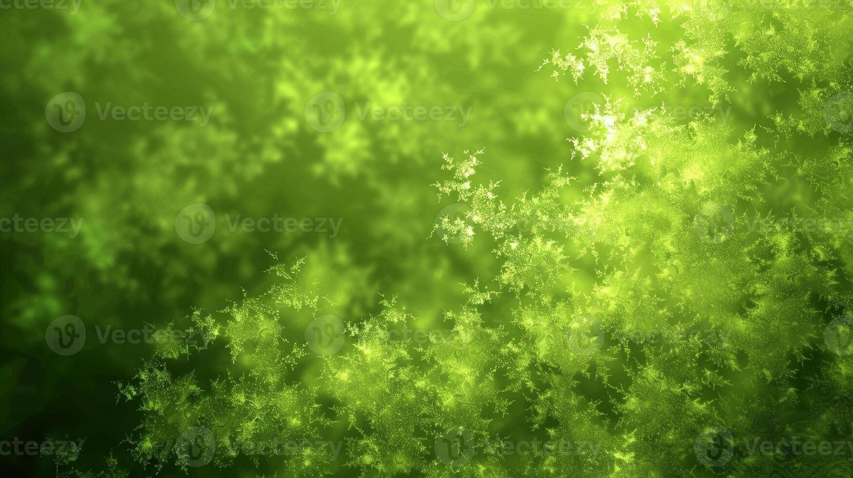 lush green foliage background photo