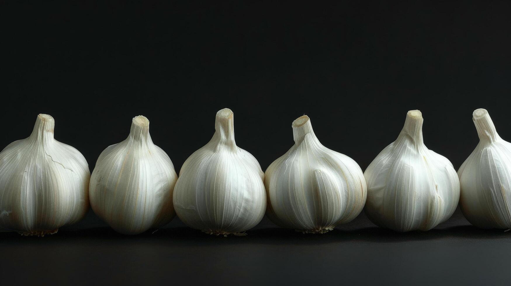 row of fresh white garlic bulbs on black background photo