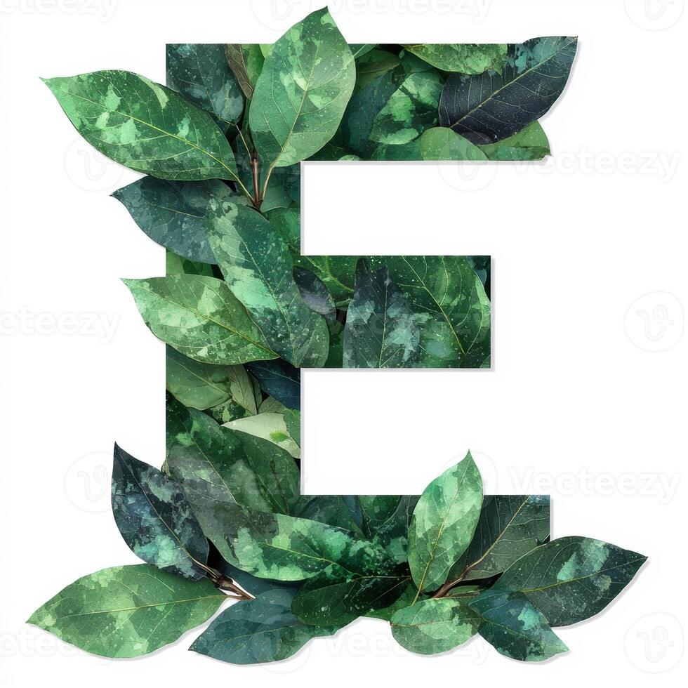 lush green leaves forming the letter e photo