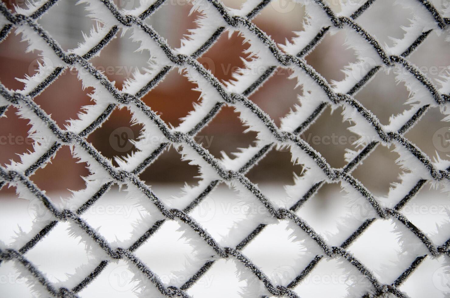 Icy metal grid photo