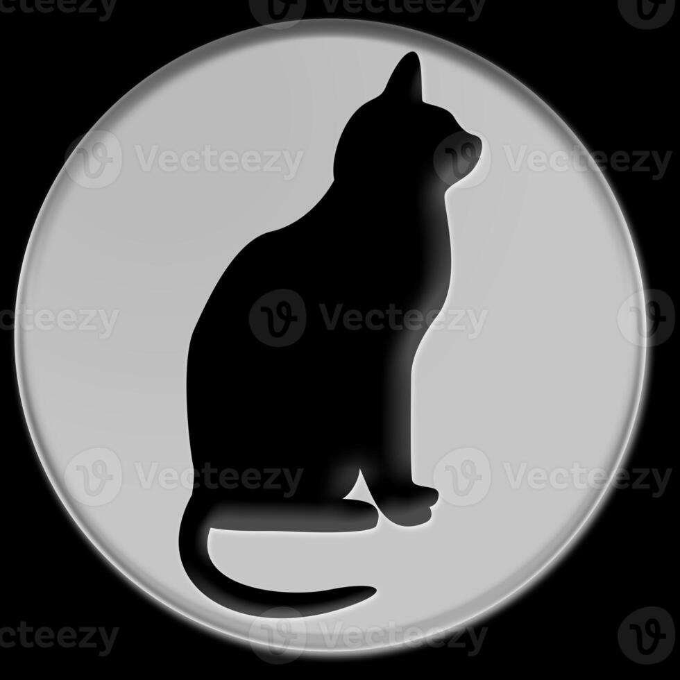 Cat symbol icon photo