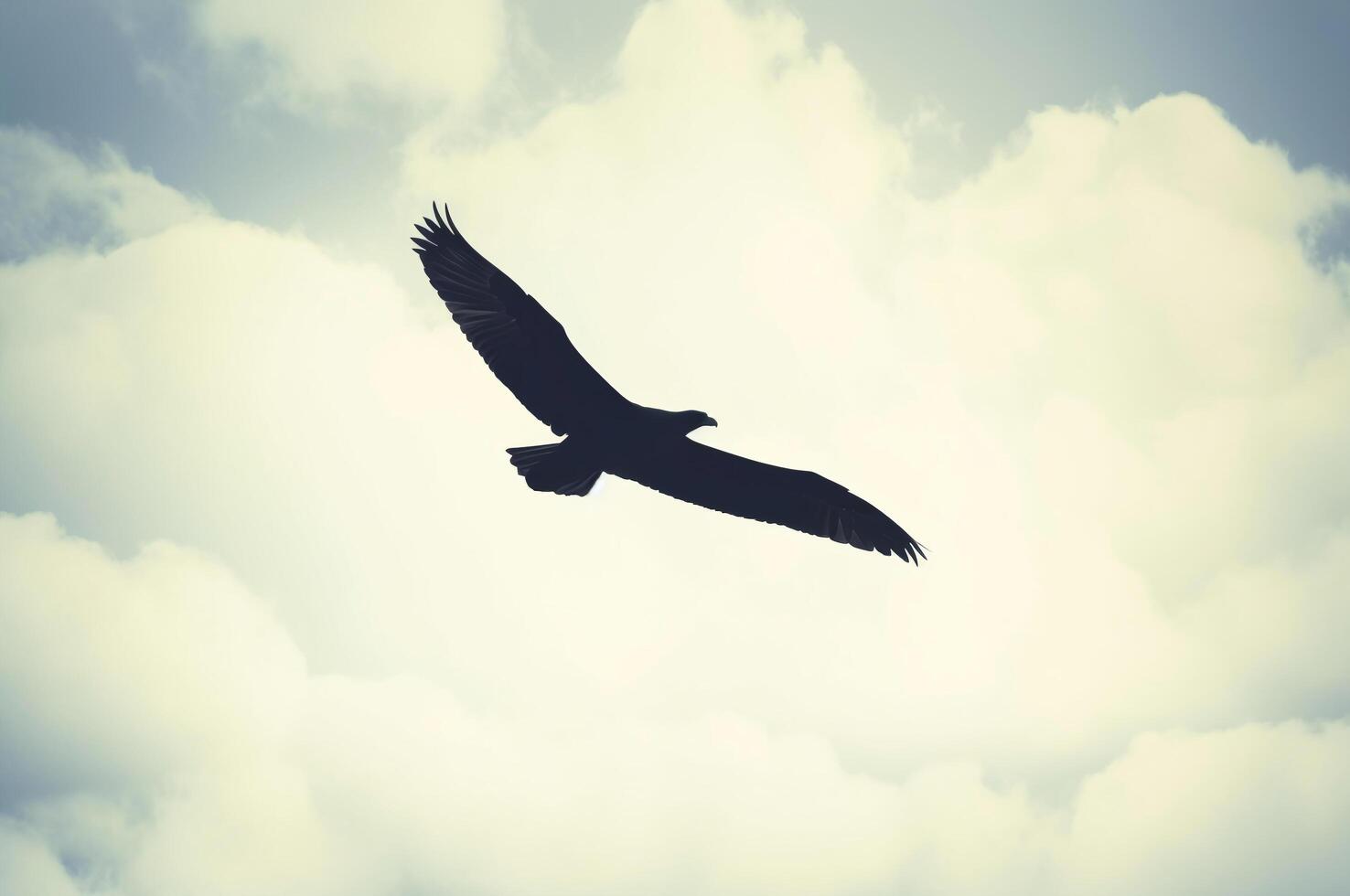Eagle in flight against a cloudy sky photo