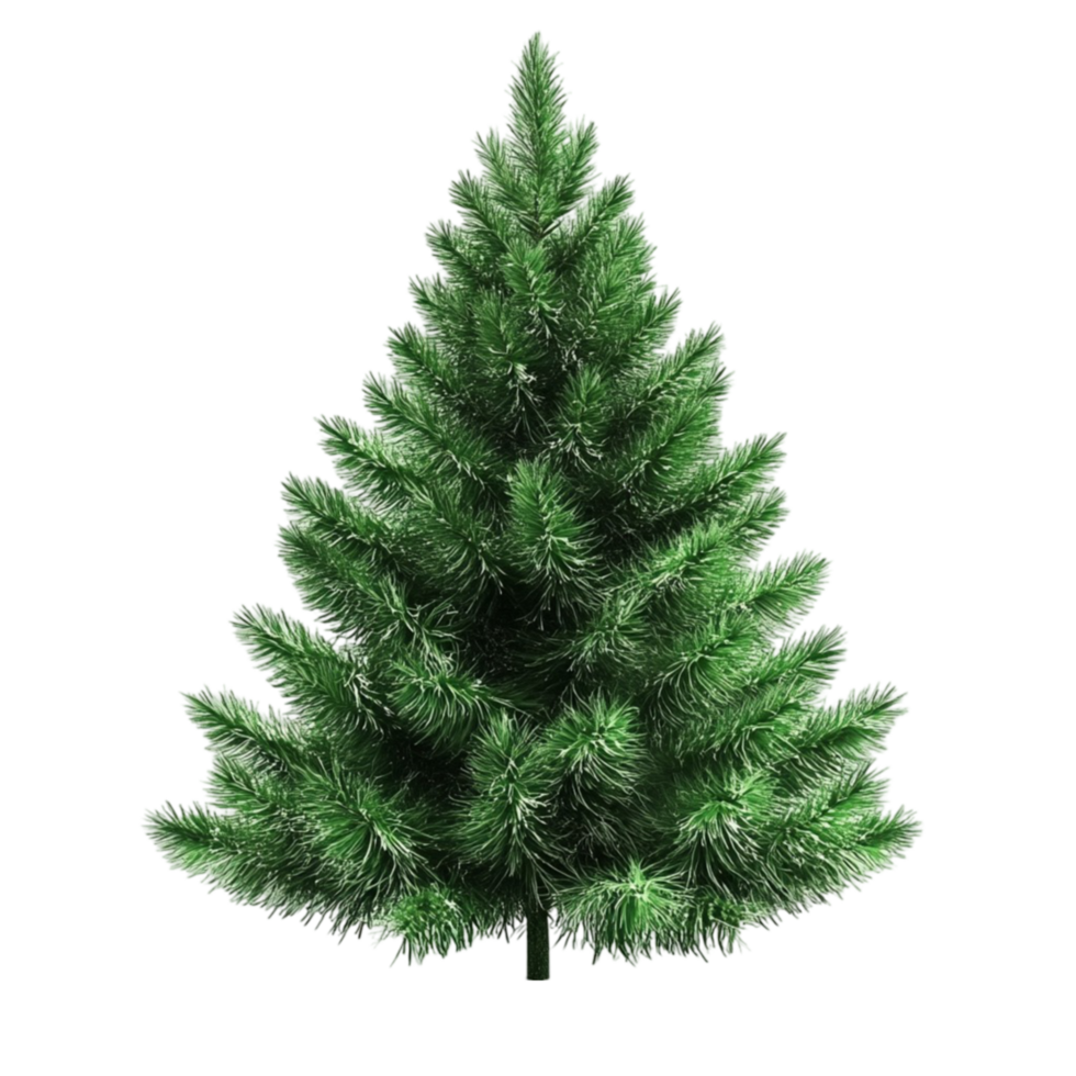 Festive Christmas Tree with Transparent Background png