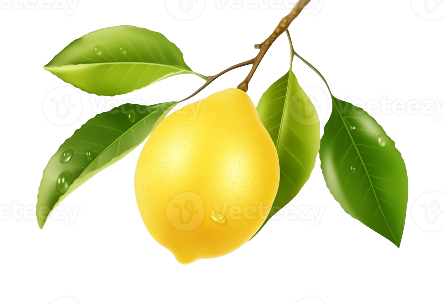 Lemon on Branch with Leaves Isolated on Transparent Background png