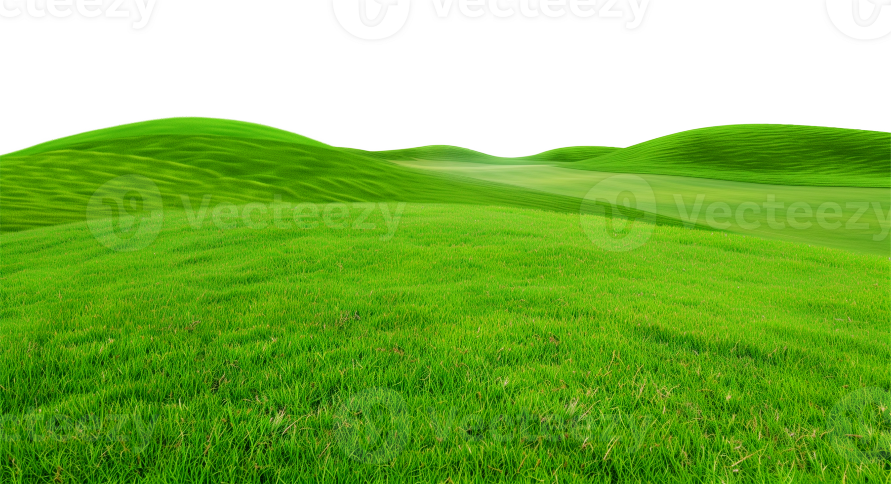 Golf Course Landscape Isolated on Transparent Background png