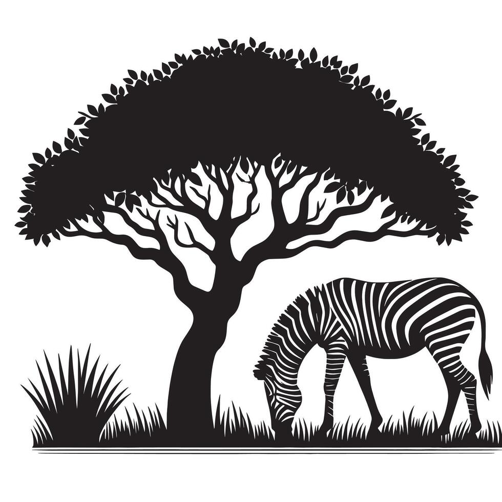 silhouette of zebra under tree in field of savannah vector