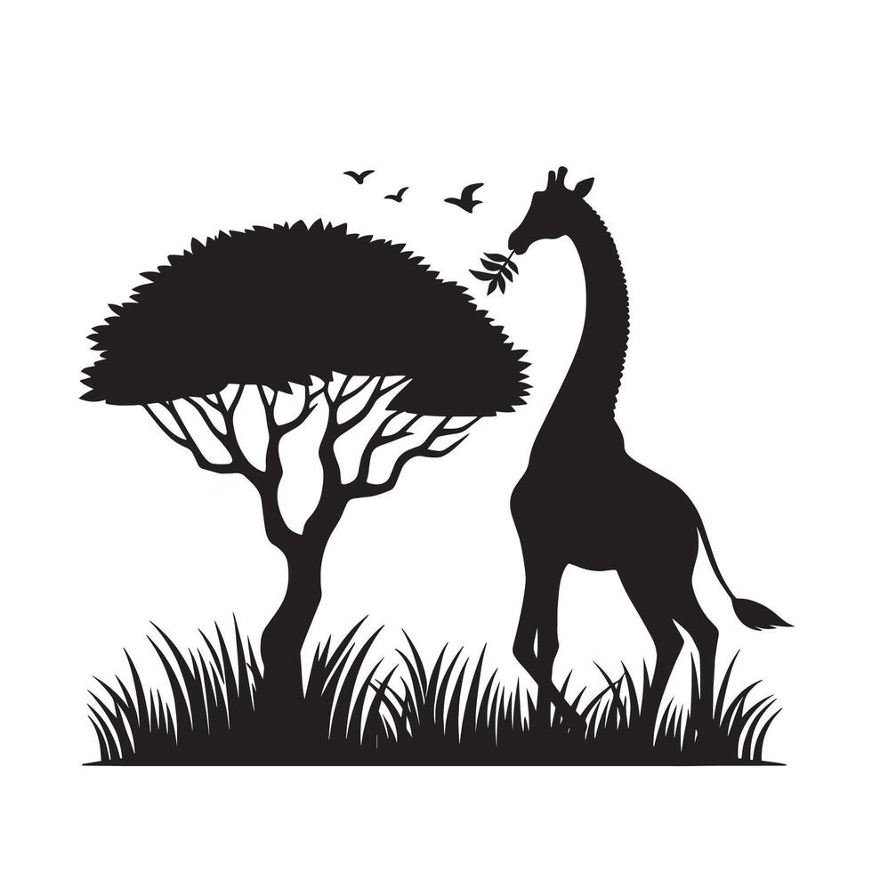 silhouette giraffe eat leaf on the tree vector