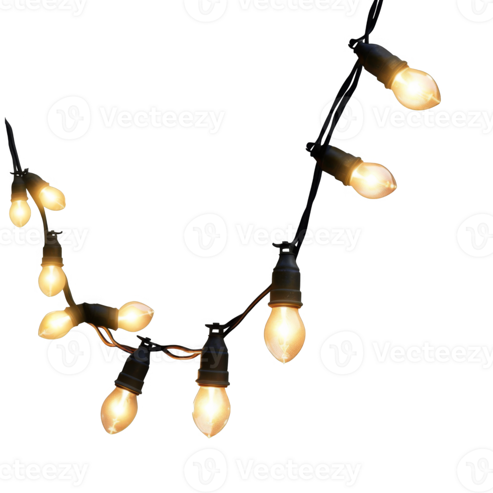 String of Warm White Incandescent Light Bulbs png