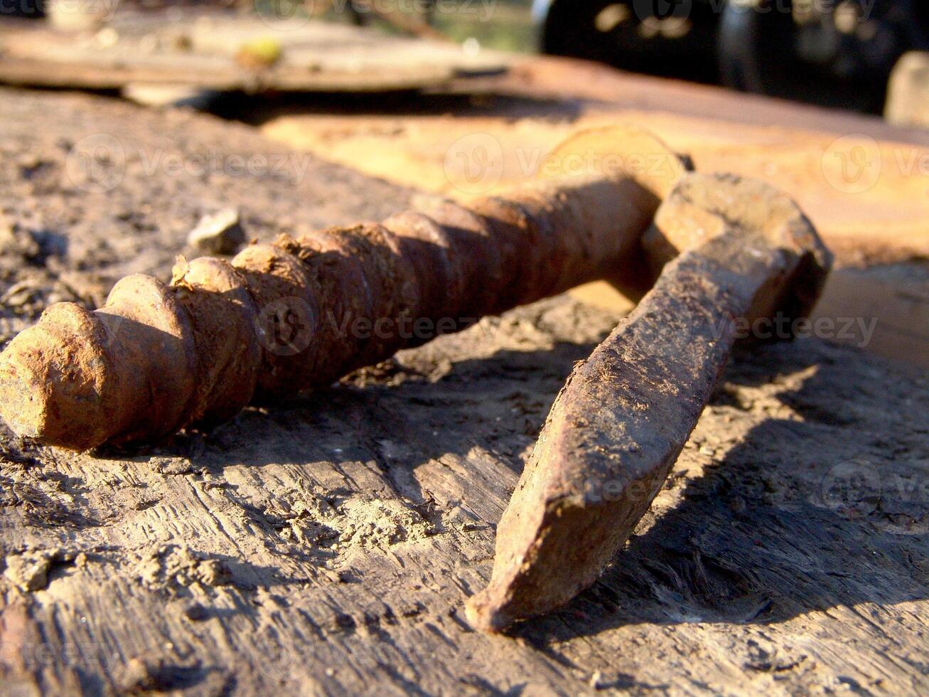 Automotive Tire on a Wood and Soil Landscape photo