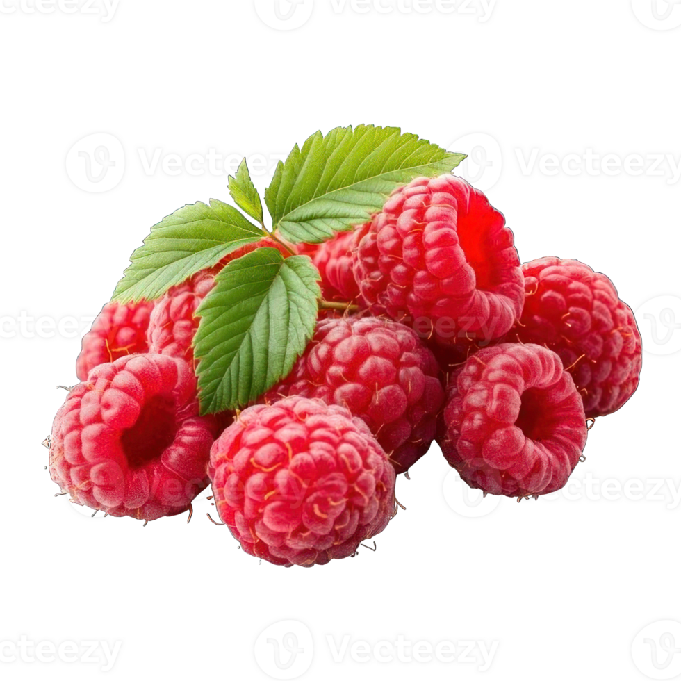 Collection of . A Cluster of Ripe Red Raspberries on a Branch with Green Leaves, isolated on a transparency background. png
