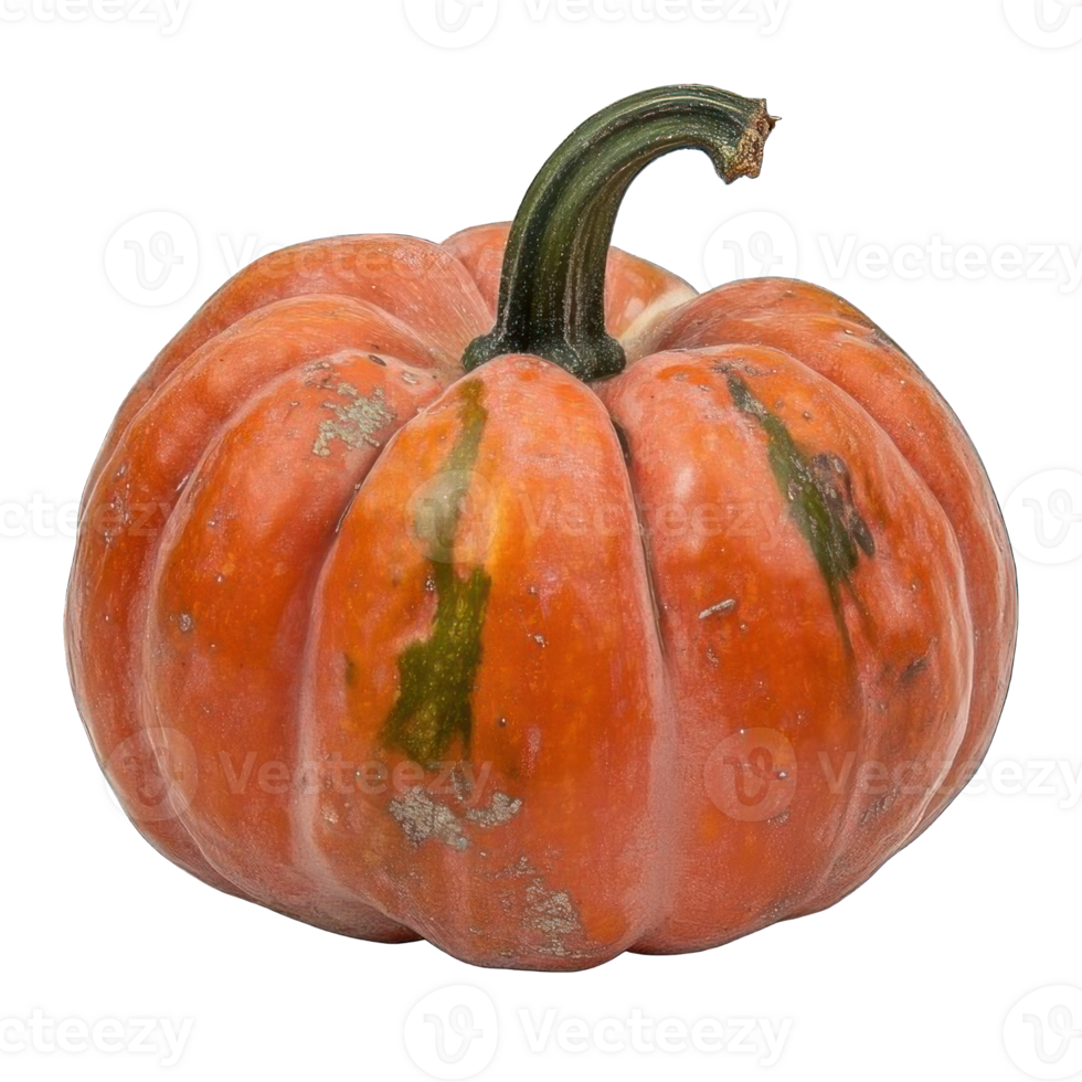 Collection of . An Orange Pumpkin with a Green Stem, isolated on a transparency background. png