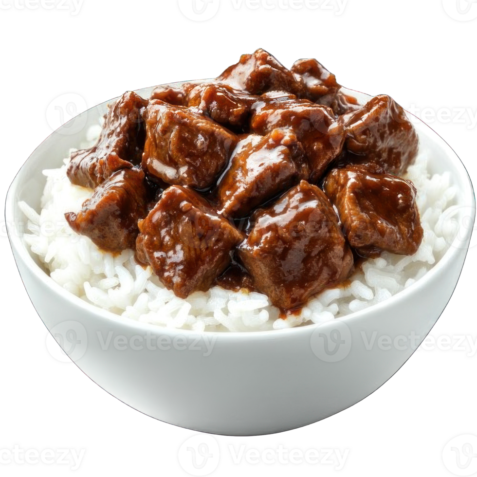 Collection of . A Bowl of White Rice Topped with a Brown Sauce and Chunks of Meat, isolated on a transparency background. png