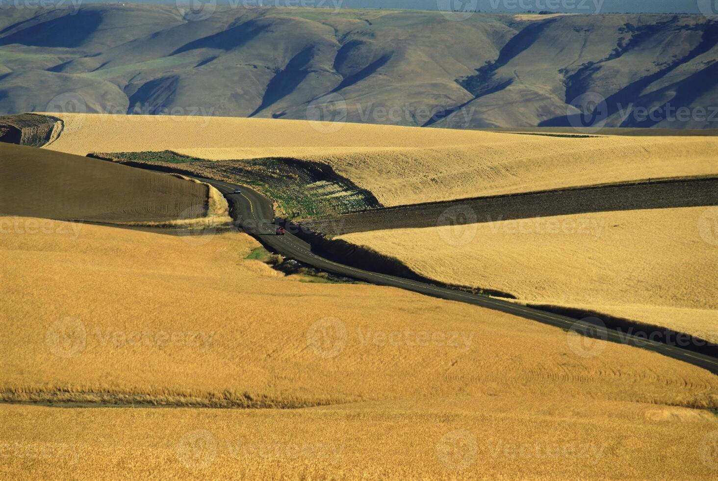 Serene Horizon Over Lush Grasslands and Sloping Terrain photo
