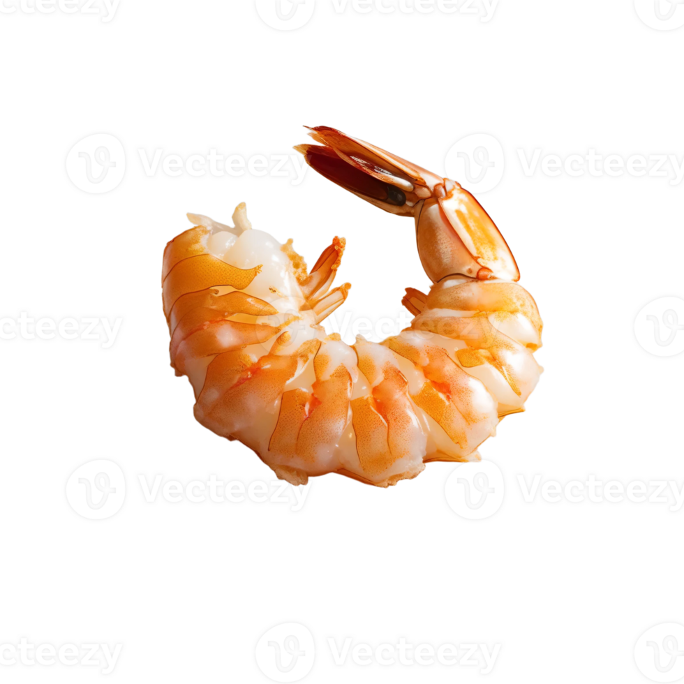Shrimp is shown on transparent background png