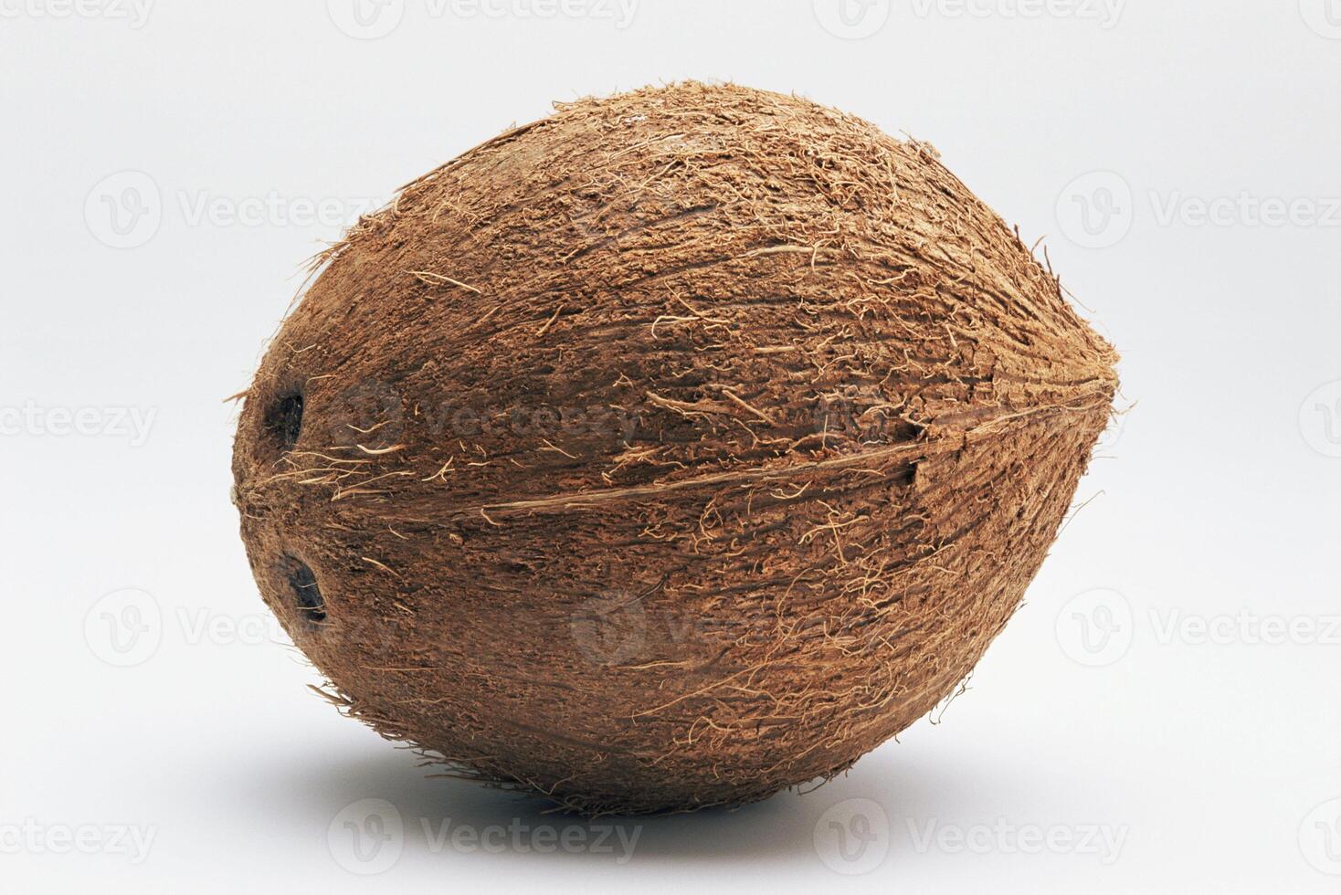 Coconut on Natural Background photo