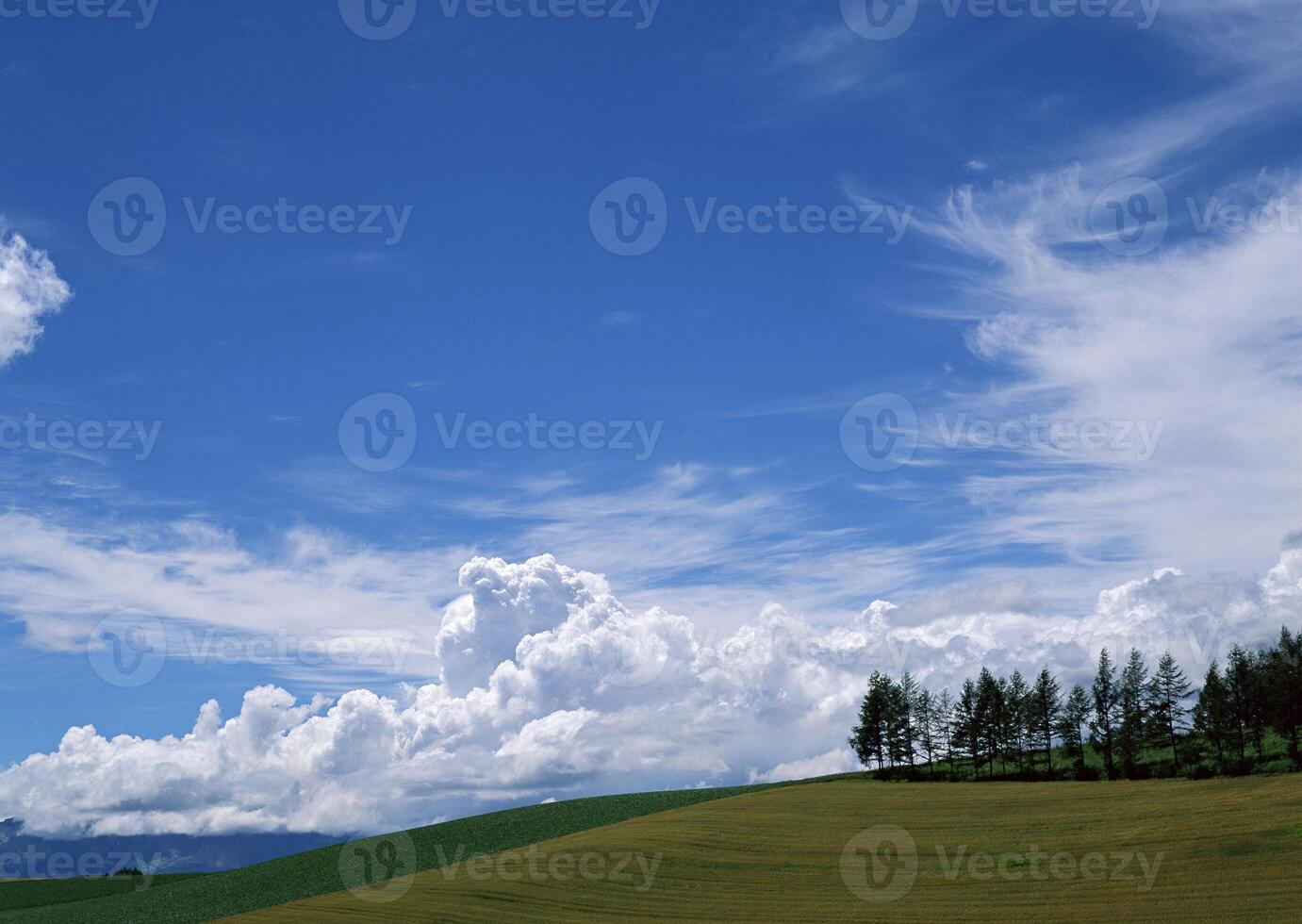 Majestic Highland Cloudscape Over Lush Grasslands and Verdant Trees photo