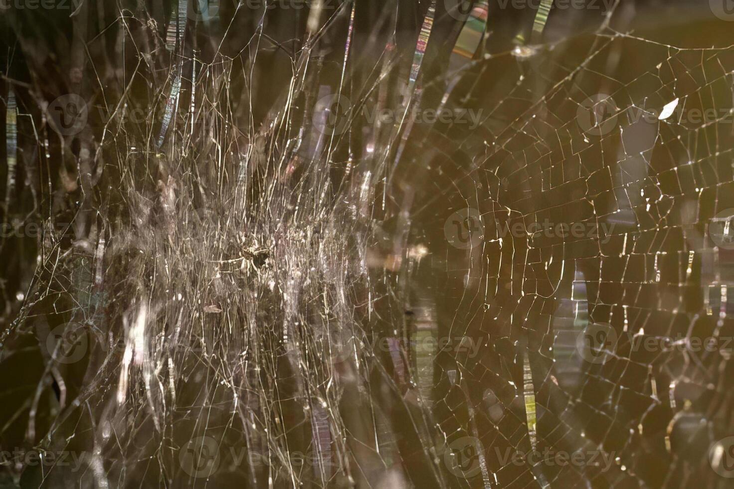 Spider and spider web close view background photo