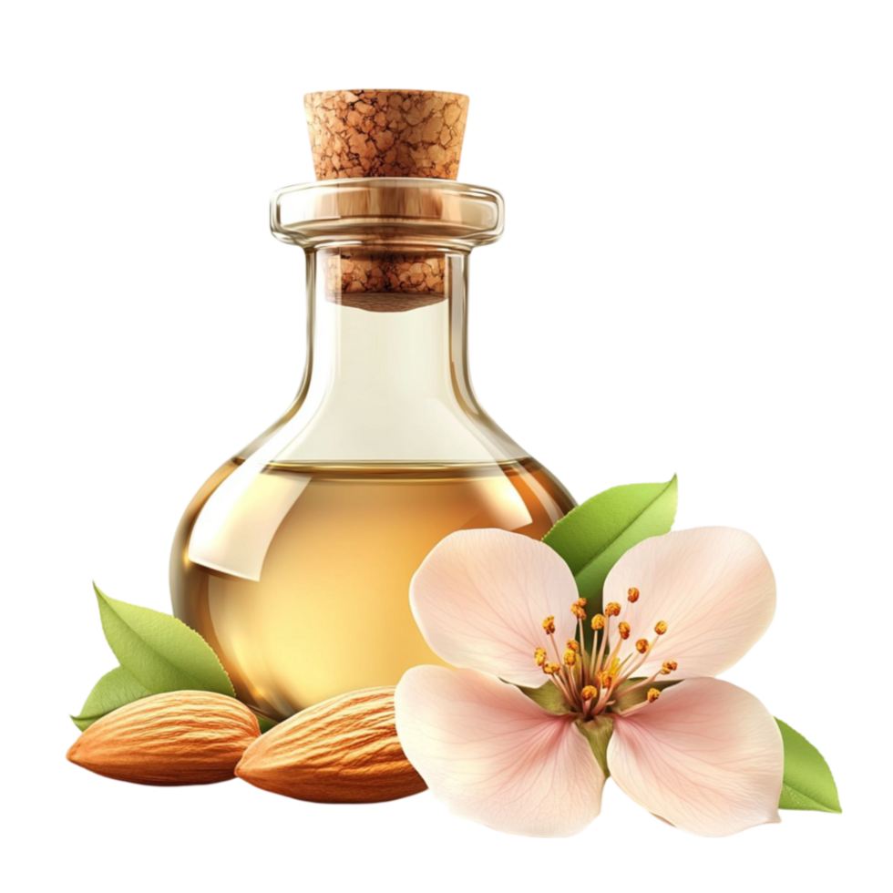 Almond Oil and Almond Flower on Transparent Background png