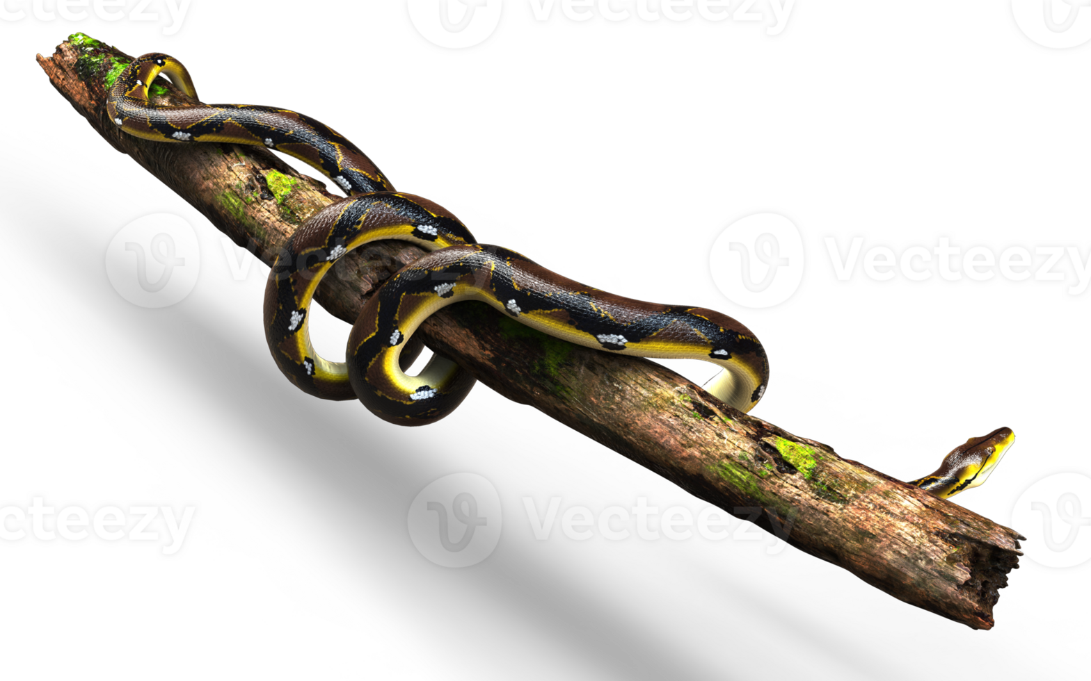 3d Illustration of A Golden Reticulated Python, Boa Constrictor The World's Biggest Snake is slithering Rolling around on a log png