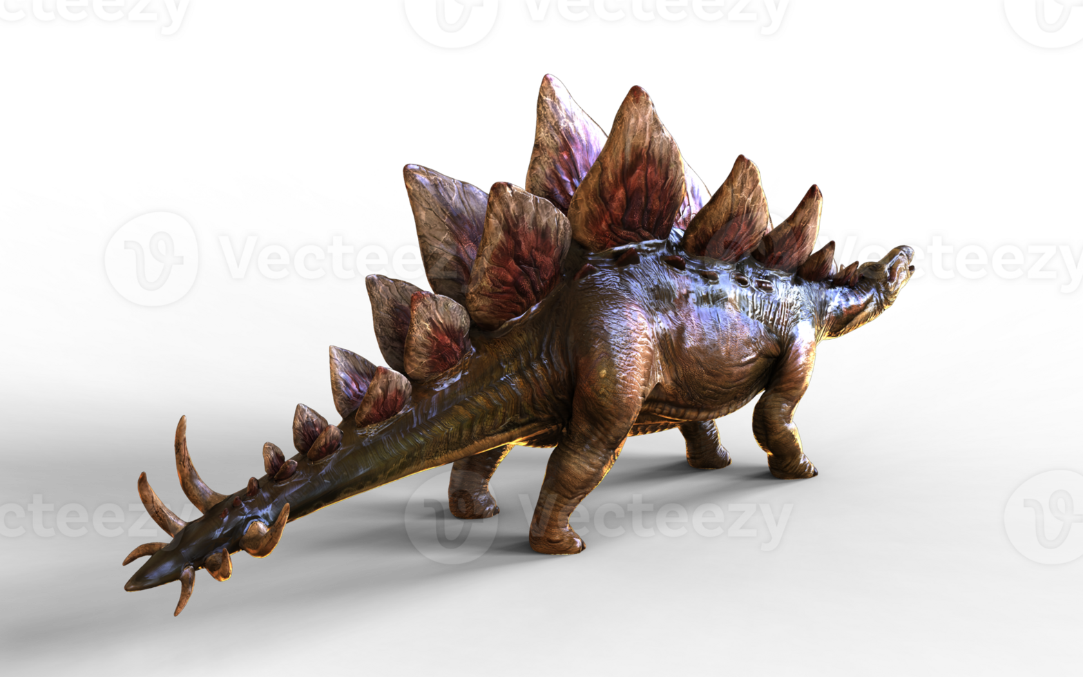 Stegosaurus was a thyreophoran dinosaur Pose of back to show tail. png