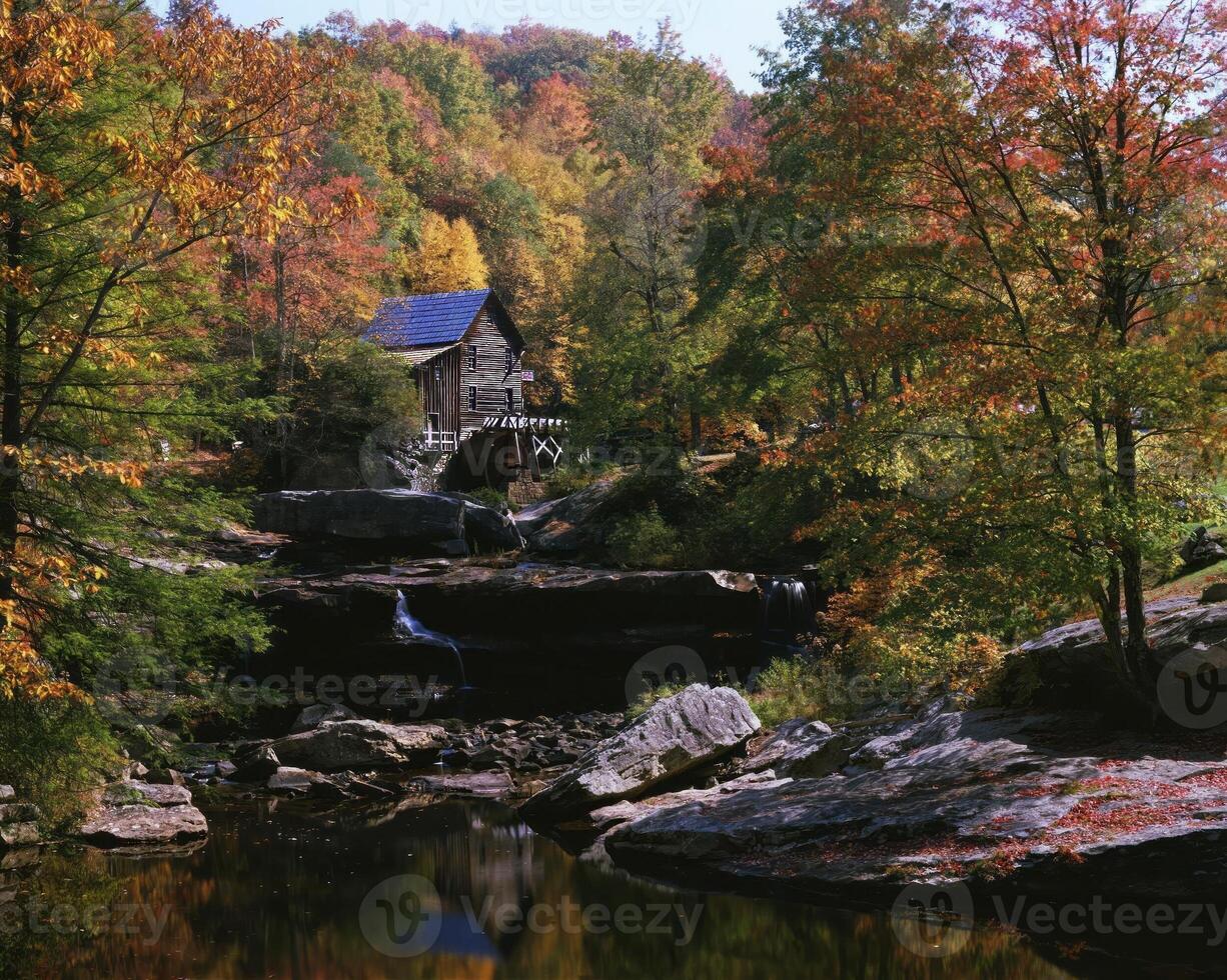 Tranquil Watercourse Surrounded by Lush Trees Under a Clear Sky photo