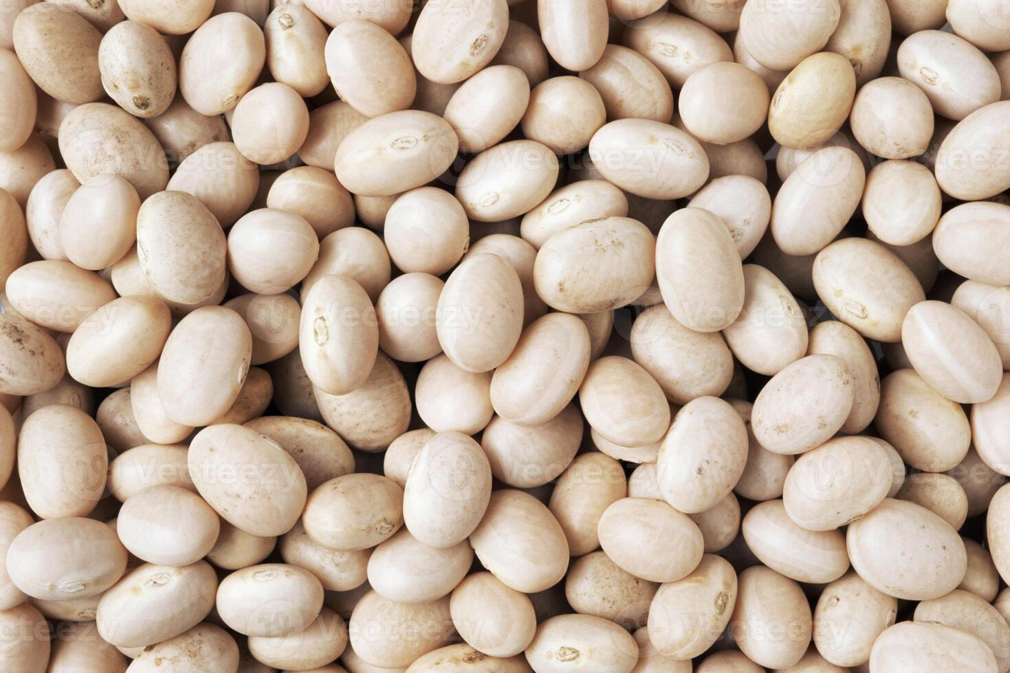 Haricot Beans on White Background photo