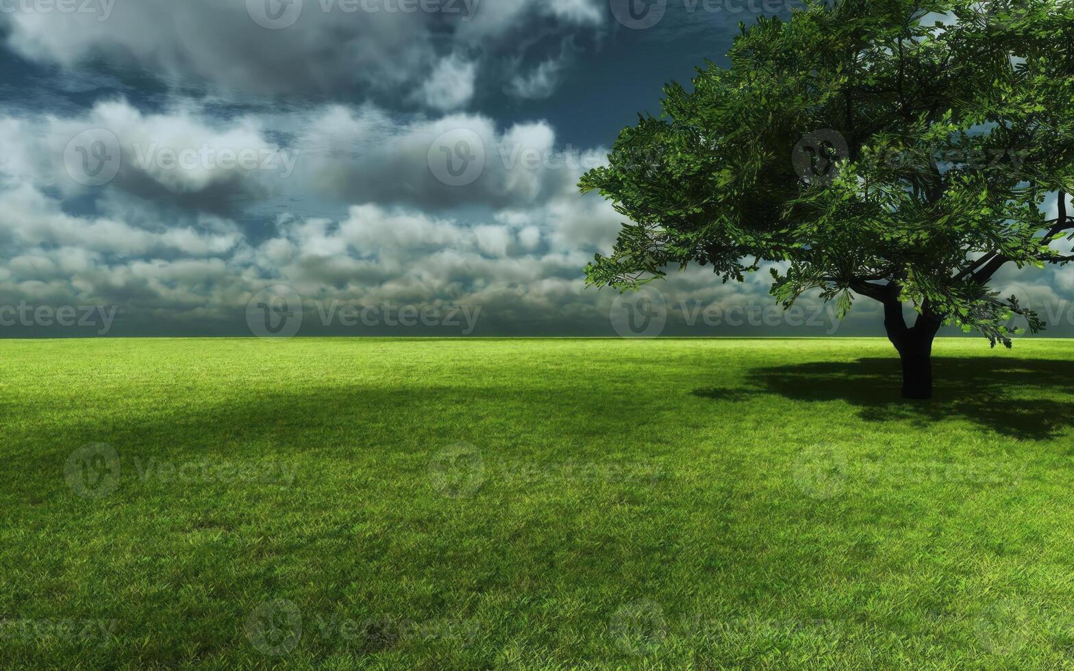 Tranquil Natural Landscape with Lush Grasslands, Trees, and Cloudy Sky photo