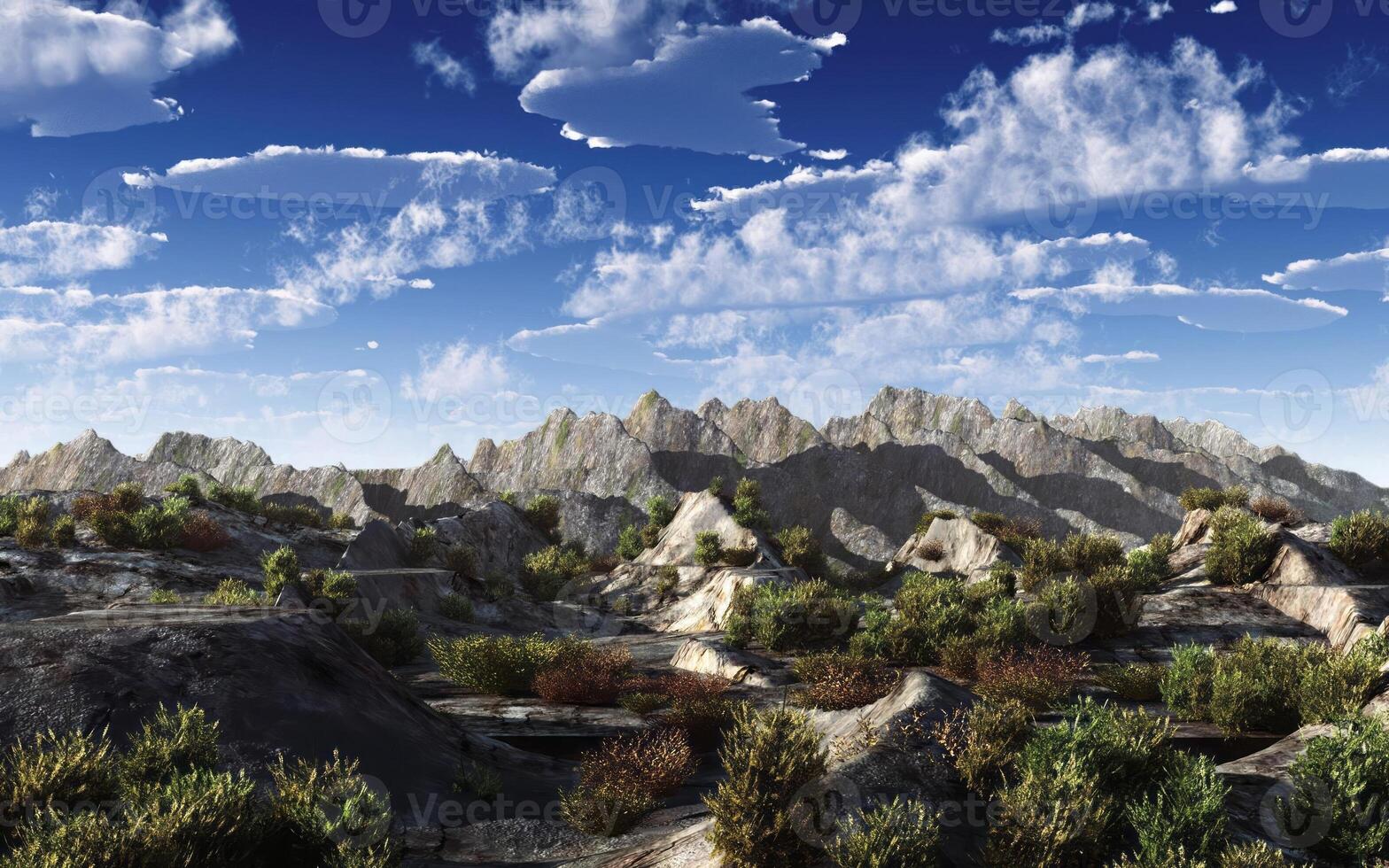Majestic Highland Landscape with Cumulus Clouds and Diverse Plant Community photo