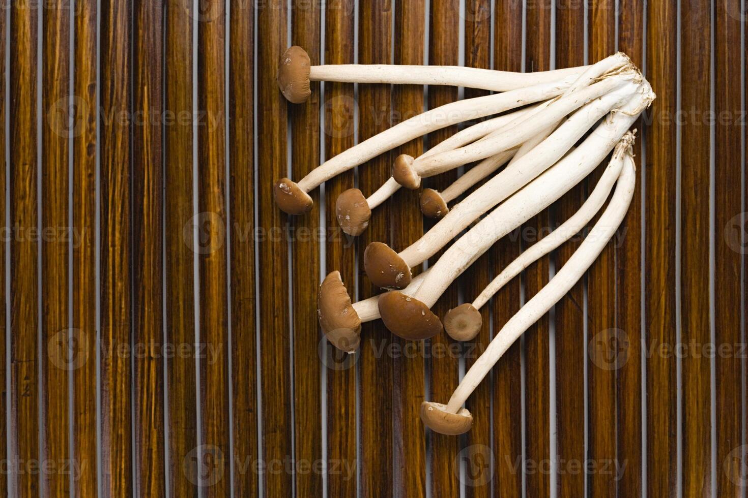 Enokitake mushroom close view background photo