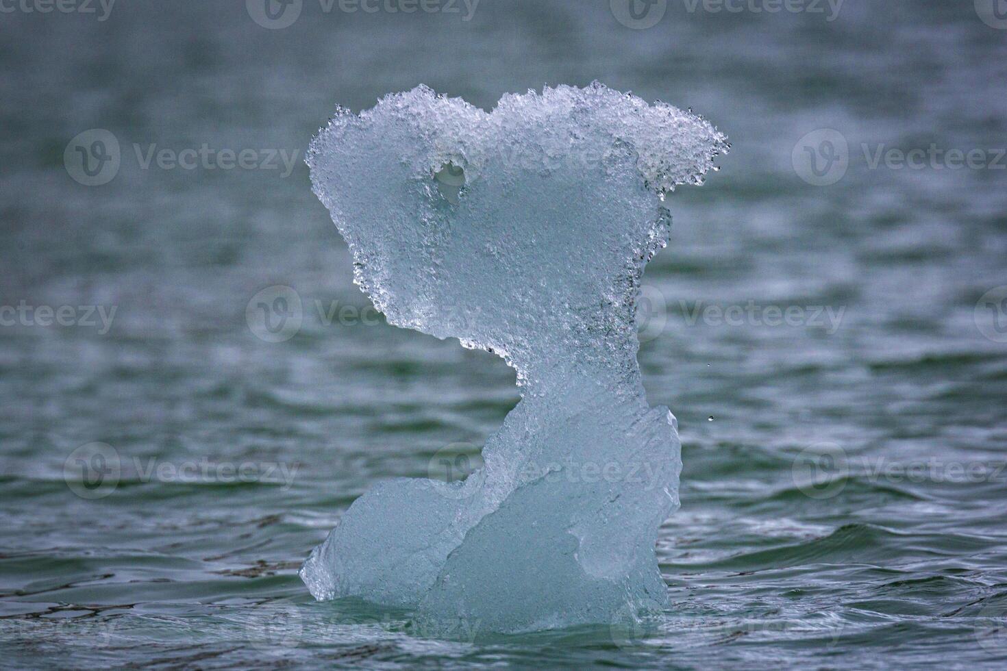 cruising in the Arctic on Svalbard in the Magdalensfjorden along glacier and small icebergs photo