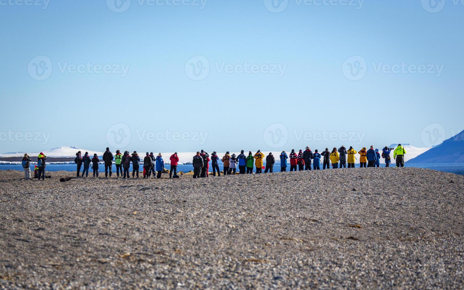 Visiting a group of walruses in the Arctic at Torellneset on Nordaustlandet on Svalbard, Norway photo