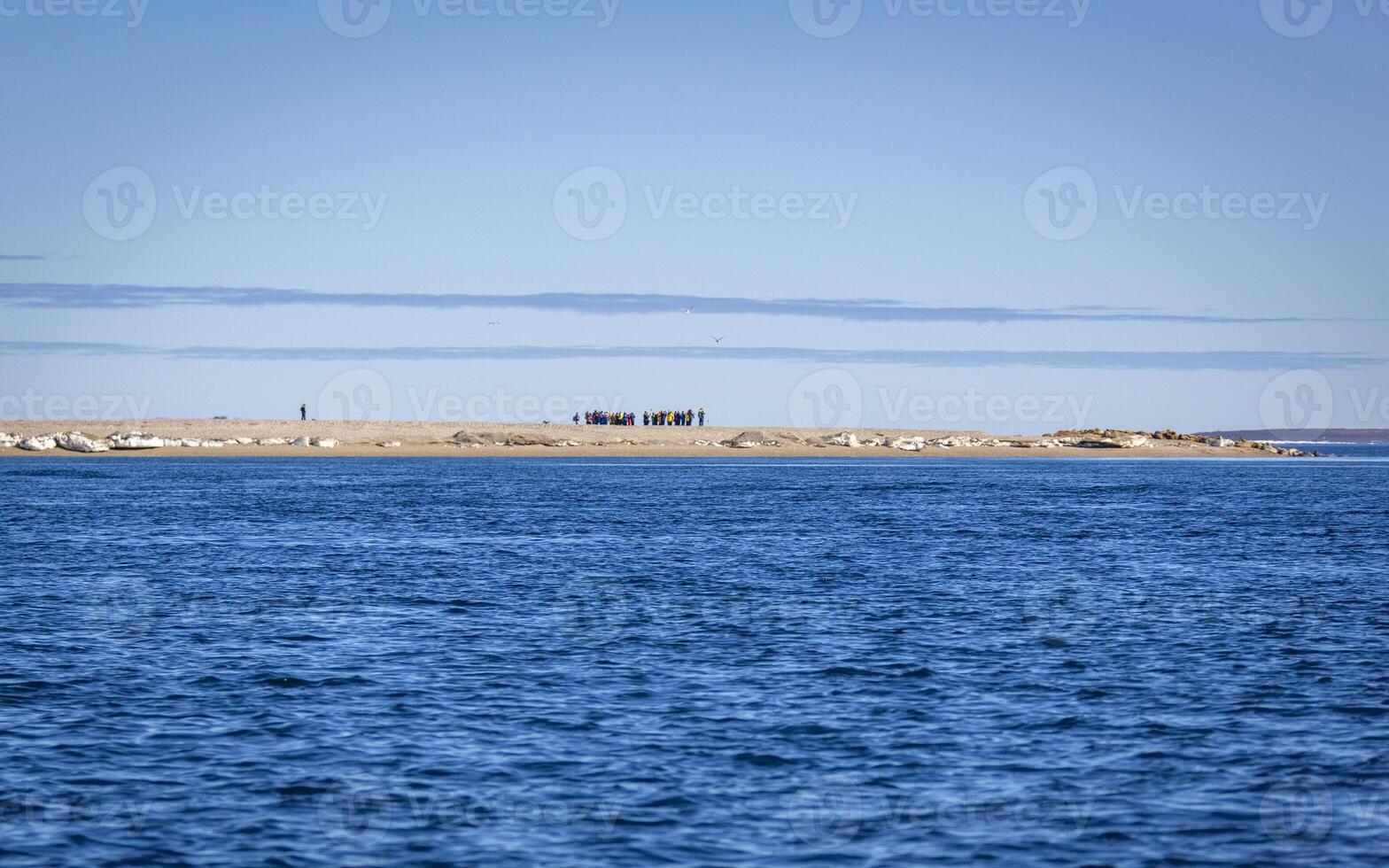 Visiting a group of walruses in the Arctic at Torellneset on Nordaustlandet on Svalbard, Norway photo