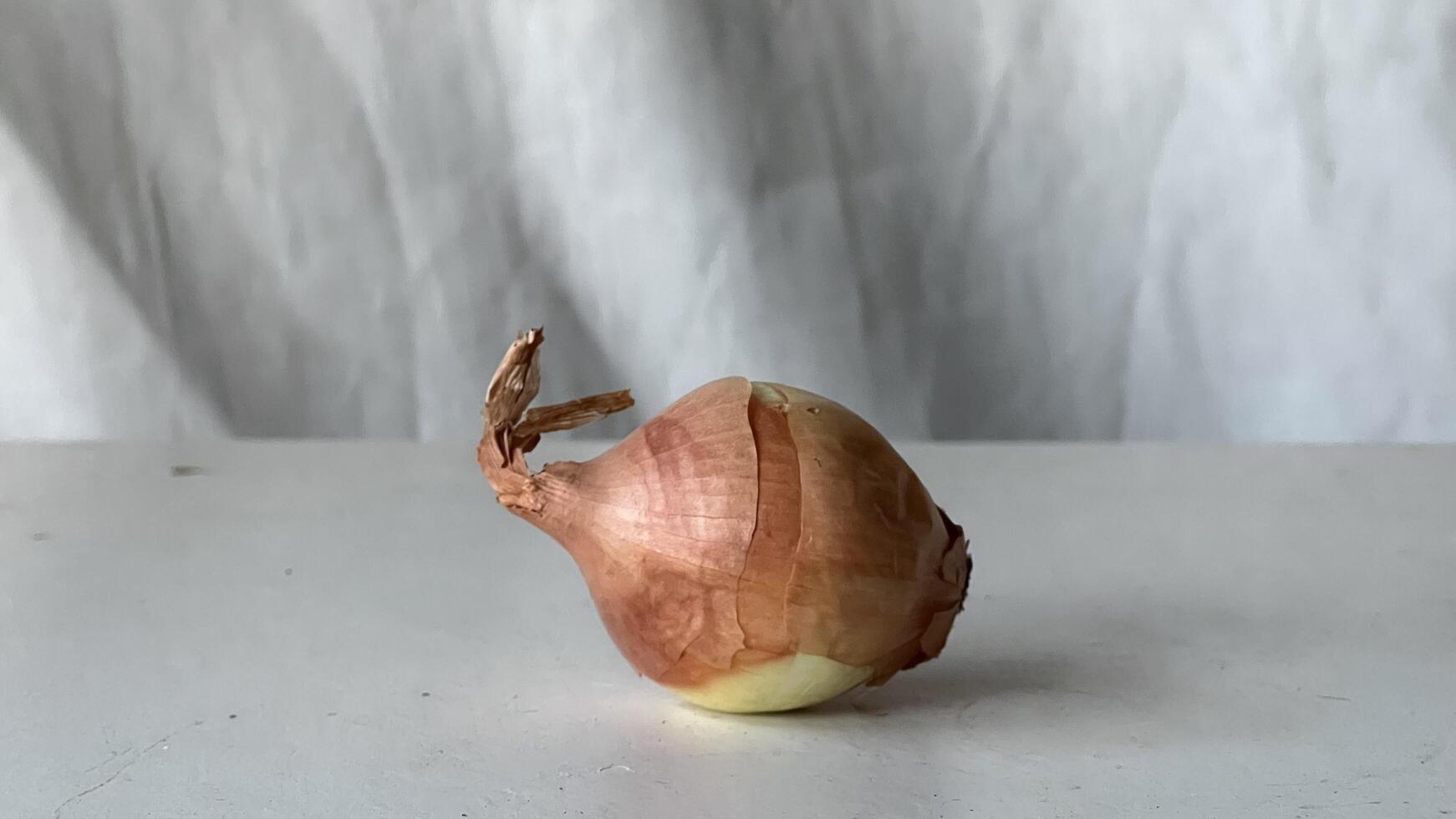 Unique onion resting on a clean surface with natural light photo