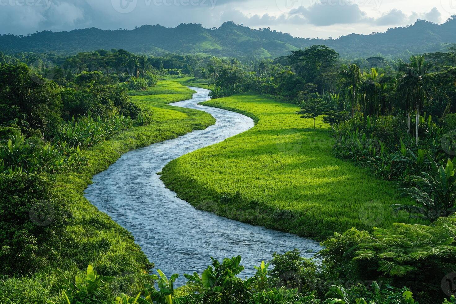 Winding river flowing through lush green tropical landscape photo