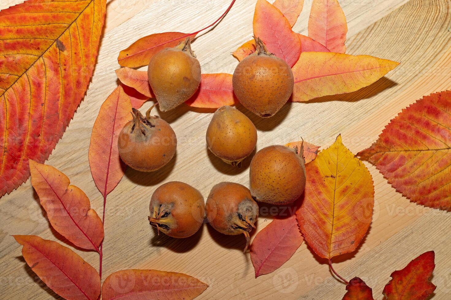 Fresh ripe organic medlar fruit on wood and among autumn leaves. Healthy food Mespilus germanica. photo