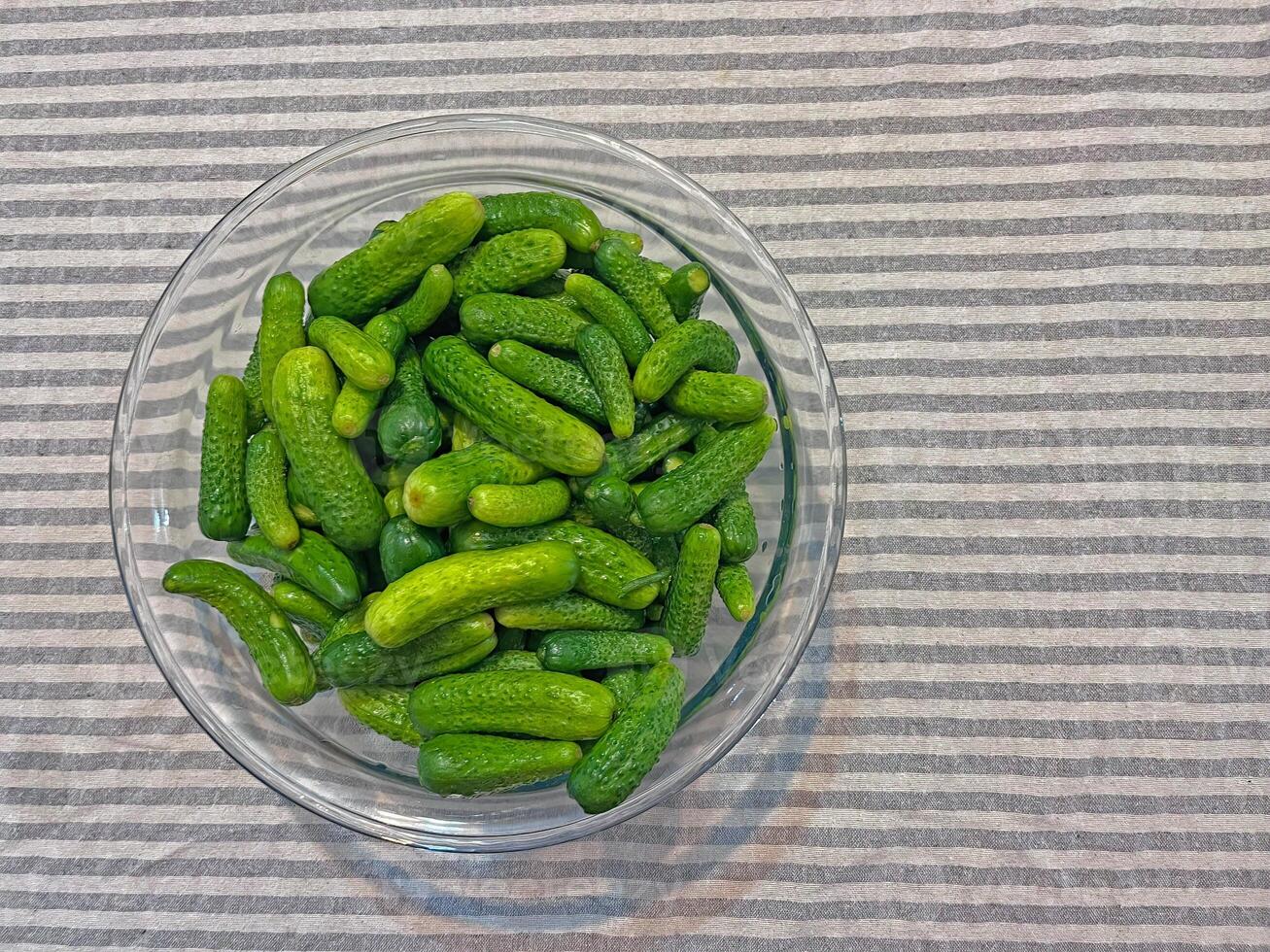 Small cucumber for pickling gherkins photo