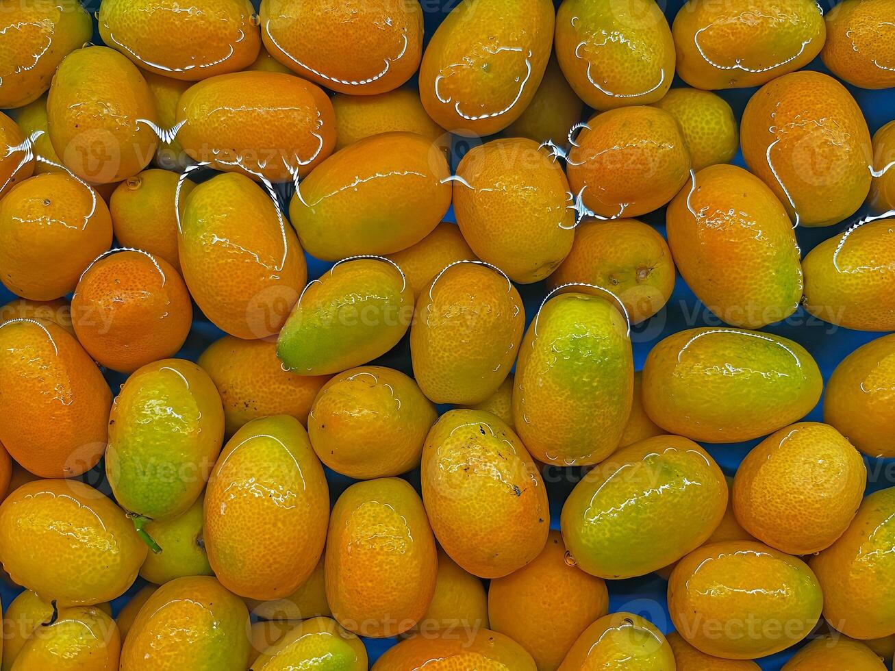 Ripe kumquat fruits in water. photo