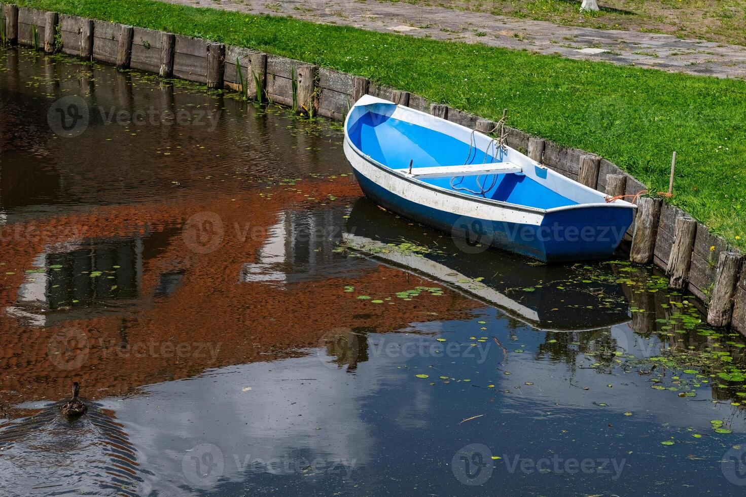 Empty and blue coloured boat moored by the pond. photo