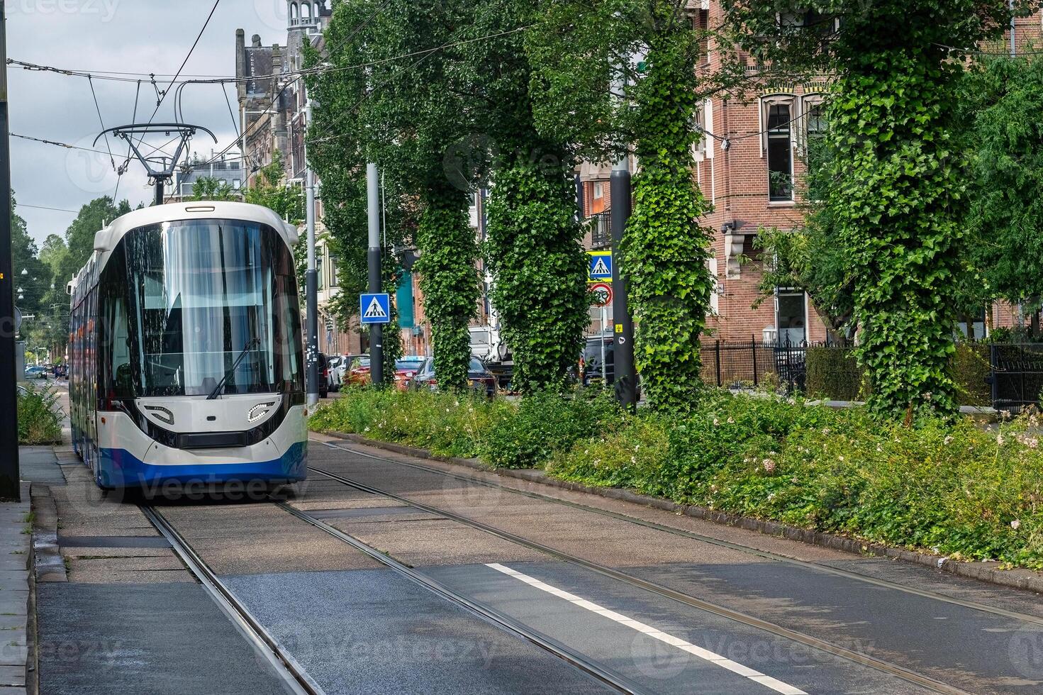 A tram, a public transport vehicle, in motion on rails. photo