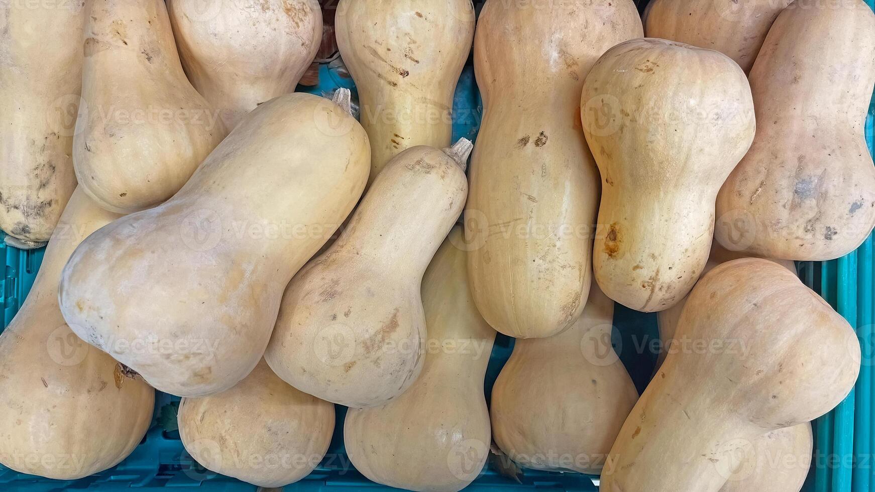 Fresh pumpkin in a basket to sell in the supermarket or market. Butternut Pumpkin is a type of winter squash. Cucurbita moschata. photo