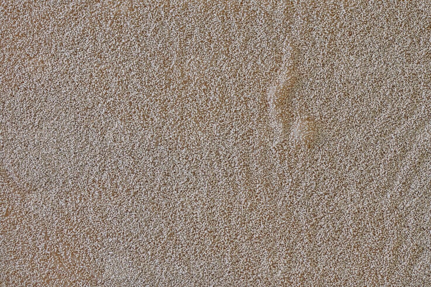 Yeast grains on a mixture of milk and water used in dough making. photo