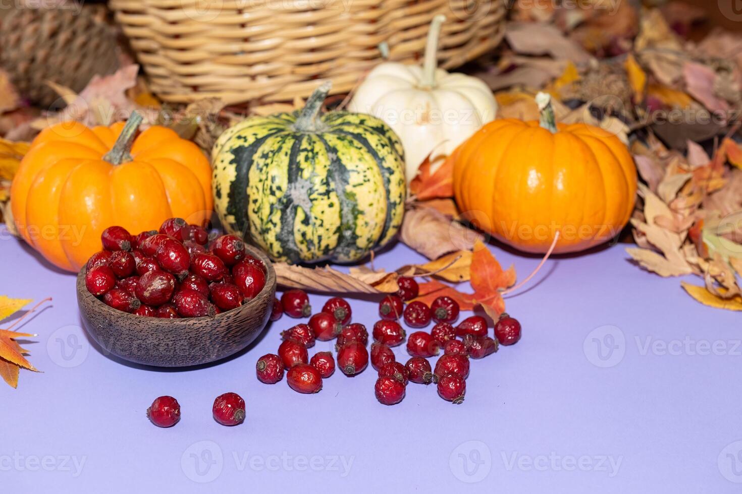 Dried tree leaves and small, colorful pumpkins and rosehip berries on a purple background. photo