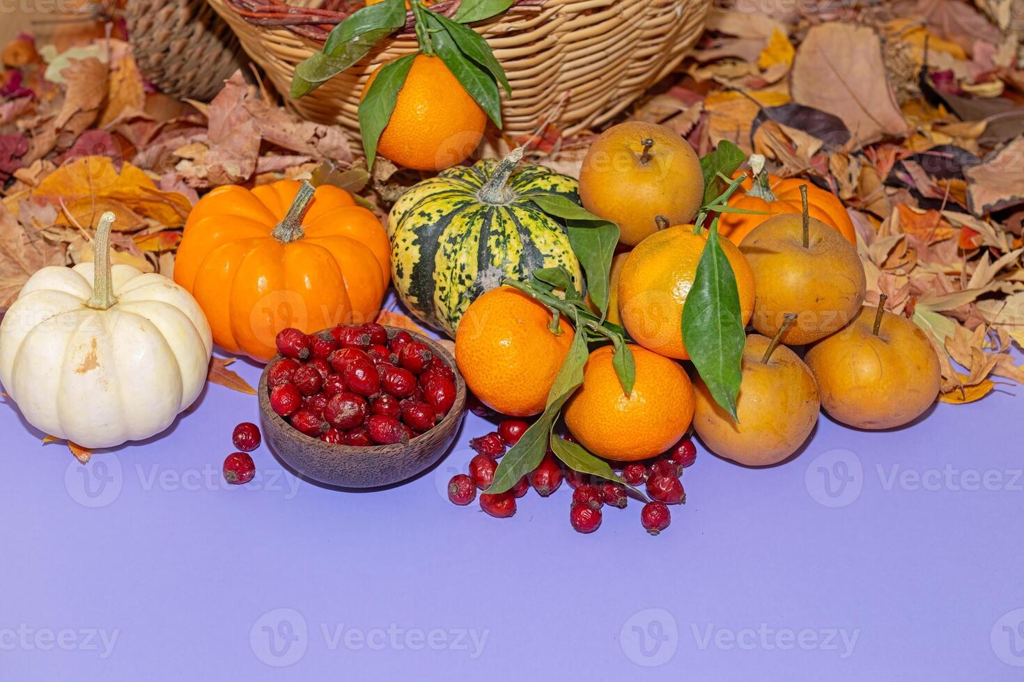 Various fall fruits on a purple background. Tangerines, pears, rose hips, and pumpkins. photo