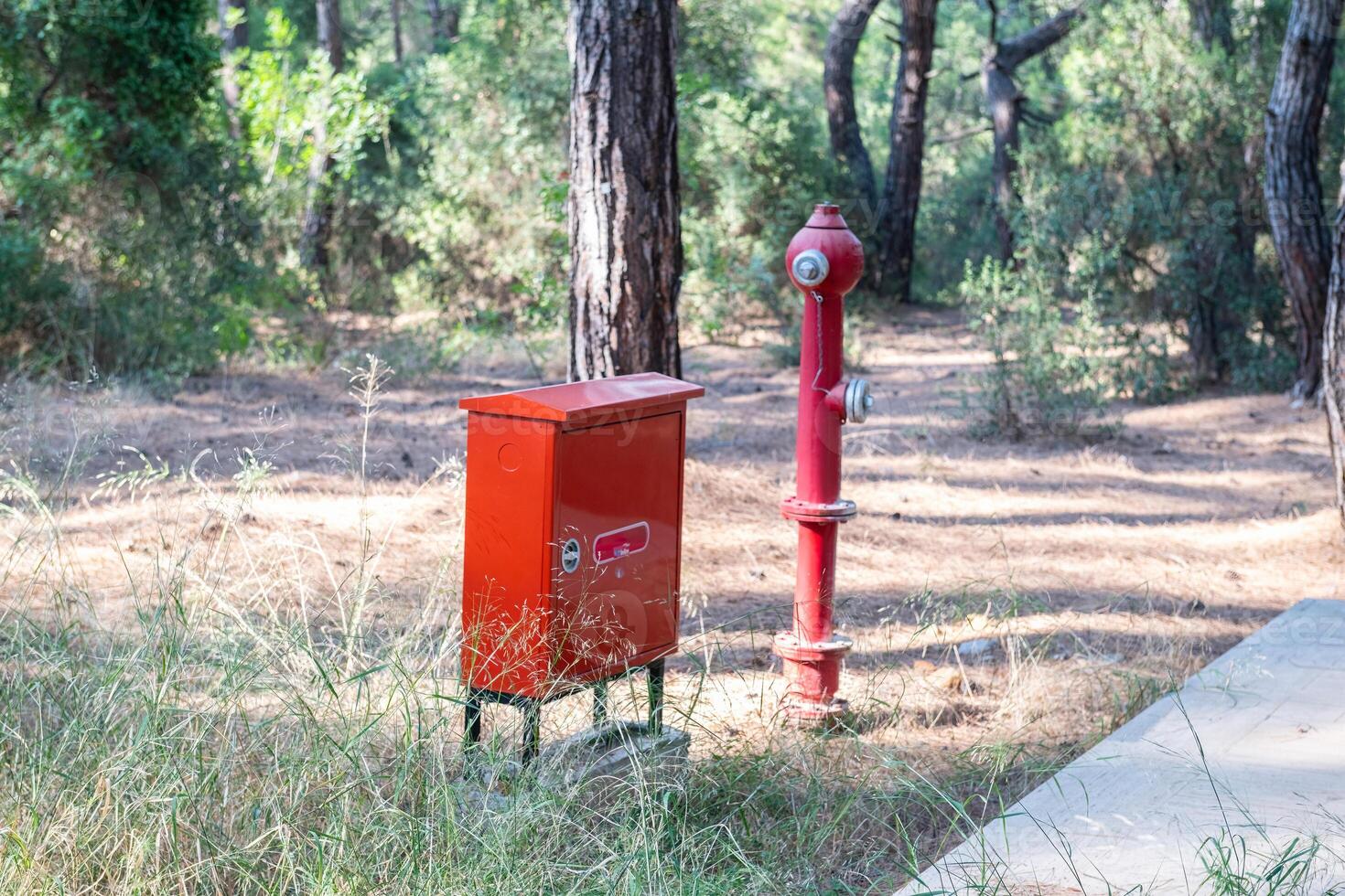 Red coloured fire hydrants and electrical panel in woodland. Security measure in the forest. photo