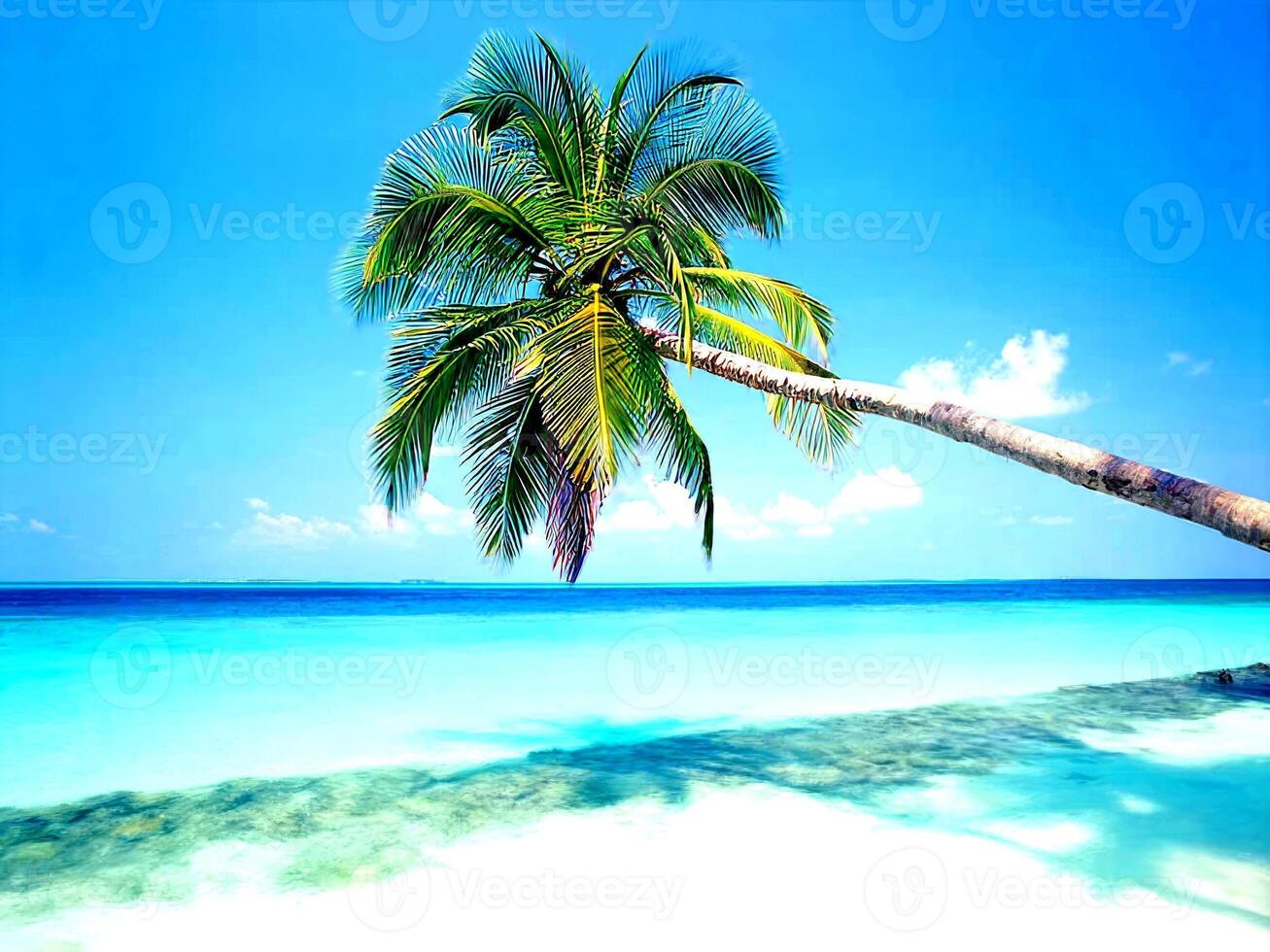 Palm Trees Background, Vacation Composition photo